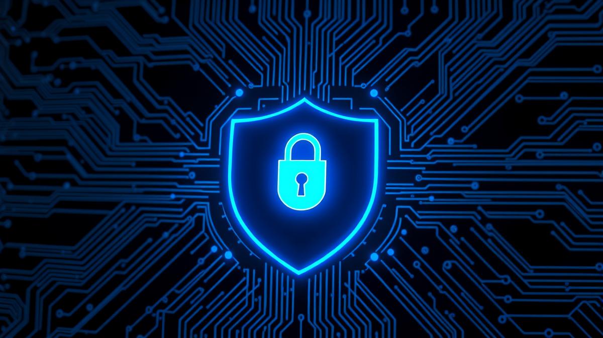 wat doet een functionaris gegevensbescherming